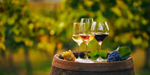 Beitragsbild des Blogbeitrags Welche gesundheitlichen Vorteile und welche Anwendungen haben Nebenprodukte der Weinindustrie in der Lebensmittelindustrie? 