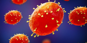 Beitragsbild des Blogbeitrags Studie untersucht die Stabilität der Affenpocken-Virus-DNA in verschiedenen Körperflüssigkeitsproben