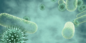 Beitragsbild des Blogbeitrags Der FebriDX Point-of-Care-Immunoassay kann schnell feststellen, ob eine Infektion bakteriell oder viral ist 
