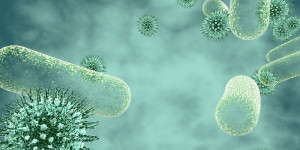 Beitragsbild des Blogbeitrags Der FebriDX Point-of-Care-Immunoassay kann schnell feststellen, ob eine Infektion bakteriell oder viral ist
