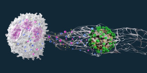 Beitragsbild des Blogbeitrags Überblick über die Rolle von Neutrophilen bei systemischen Autoimmun- und autoinflammatorischen Erkrankungen