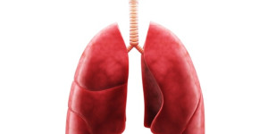 Beitragsbild des Blogbeitrags Studie zeigt ein verändertes Mikrobiom in den unteren Atemwegen bei Sarkoidose-Patienten 