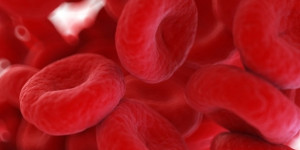 Beitragsbild des Blogbeitrags Die Zukunft der Diagnostik und die Bedeutung der Blutgasanalyse