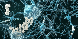 Beitragsbild des Blogbeitrags Forscher erhalten 9 Millionen US-Dollar Zuschuss, um zu untersuchen, wie „springende Gene“ die Alzheimer-Krankheit beeinflussen