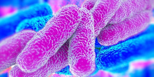 Beitragsbild des Blogbeitrags UW Medicine identifiziert einen Fall von Legionellen-Pneumonie