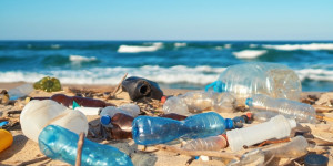 Beitragsbild des Blogbeitrags Mikroplastik in menschlichen Proben nachweisen