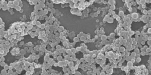 Beitragsbild des Blogbeitrags Multiorgan-Chip misst direkt die biologische Wirkung von Nanopartikeln