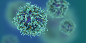 Beitragsbild des Blogbeitrags Kleine antivirale Moleküle, sogenannte Assemblierungsmodulatoren, zeigen therapeutische Wirksamkeit gegen Krebs 