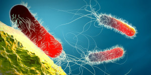 Beitragsbild des Blogbeitrags Neu entwickelte Peptide könnten die Superbakterienkrise verhindern