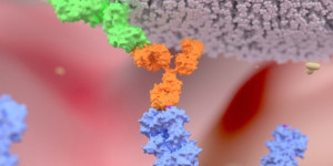 Beitragsbild des Blogbeitrags Monon Bioventures erhält SBIR-Zuschuss zur Entwicklung eines in Purdue entwickelten Glioblastom-Therapeutikums