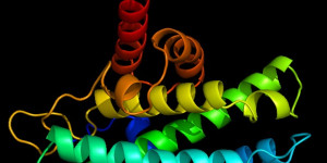 Beitragsbild des Blogbeitrags LncDACH1 könnte ein potenzielles therapeutisches Ziel für Lungenfibrose sein