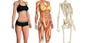 Beitragsbild des Blogbeitrags UTHSC-Professor erhält 5 Millionen US-Dollar für die Erforschung des Darms als therapeutisches Ziel zur Behandlung von Krankheiten