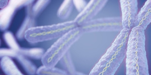 Beitragsbild des Blogbeitrags Neue Entdeckung verändert das Verständnis der Duchenne-Muskeldystrophie