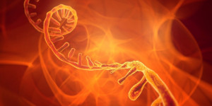 Beitragsbild des Blogbeitrags Studie untersucht weitreichende RNA-RNA-Wechselwirkungen von SARS-CoV-2