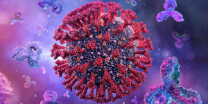 Beitragsbild des Blogbeitrags Die Kombination aus Multispezifität und Antikörper-Avidität erhöht den Schutz gegen SARS-CoV-2 