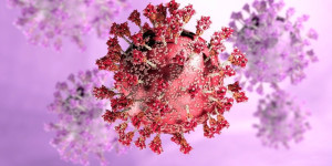 Beitragsbild des Blogbeitrags Biochemische und strukturelle Beweise zeigen, dass Omicron-Mutationen besser an Maus-ACE2 angepasst sind als an menschliches ACE2