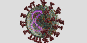 Beitragsbild des Blogbeitrags Neuartige Methode nutzt Nanoporenpinzetten, um die Hemmung der SARS-CoV-2-Helikase bei Einzelnukleotidauflösung zu erleichtern