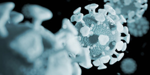 Beitragsbild des Blogbeitrags Auf neugeborenen Mäusen basierendes Modell etabliert, das die Übertragung klinischer SARS-CoV-2-Isolate ermöglicht
