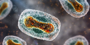 Beitragsbild des Blogbeitrags DNA-Metagenomanalysen klinischer Proben von mit dem Monkeypox-Virus infizierten Personen