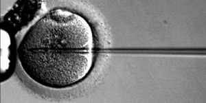 Beitragsbild des Blogbeitrags Astrea Bioseparations stellt Nereus LentiHERO vor, eine zweckmäßige Lösung für die Reinigung lentiviraler Vektoren 