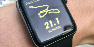 Beitragsbild des Blogbeitrags Trainingspläne für Halbmarathon und Marathon 