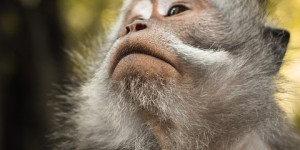 Beitragsbild des Blogbeitrags Die Philosophie des Sports: Ein Einblick 