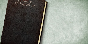 Beitragsbild des Blogbeitrags Geschlechtsspezifische Unterschiede im Training