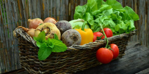 Beitragsbild des Blogbeitrags Gesunde Ernährung für Sportler: Ein ausgewogener Ernährungsplan