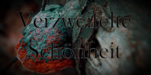 Beitragsbild des Blogbeitrags Film - Verzweifelte Schönheit