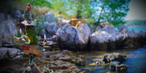 Beitragsbild des Blogbeitrags Balance - Kroatien in Stein