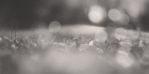 Beitragsbild des Blogbeitrags Die Angst nie dazu zugehören
