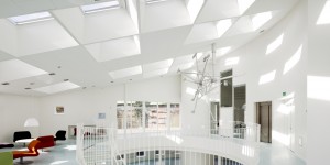 Beitragsbild des Blogbeitrags Grünes Licht für unsere Zukunft