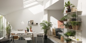 Beitragsbild des Blogbeitrags Der Frühling klopft ans (Dach)Fenster!