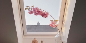 Beitragsbild des Blogbeitrags Mein Lieblingsraum