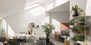 Beitragsbild des Blogbeitrags Tageslicht: Lebenselixier für Zimmerpflanzen