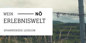 Beitragsbild des Blogbeitrags TOP Wein- und Gartentour Volume One