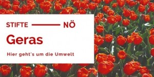 Beitragsbild des Blogbeitrags TOP Stiftetour: vom Waldviertel in die Wachau, Teil 1