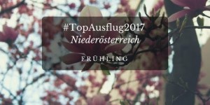 Beitragsbild des Blogbeitrags Eins, zwei, drei: #Topausflug2017