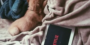 Beitragsbild des Blogbeitrags 5 TV Shows Worth Binging On: Crime Series