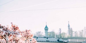 Beitragsbild des Blogbeitrags Tuesday Tunes: Spring Vibes