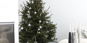 Beitragsbild des Blogbeitrags Inspire! Nordic Christmas