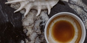 Beitragsbild des Blogbeitrags Inspire: Shell Life