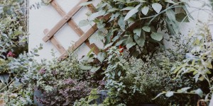 Beitragsbild des Blogbeitrags Urban Gardening aka. Terrassenacker – Kräuteredition