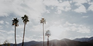 Beitragsbild des Blogbeitrags California Travel Tips 