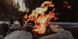Beitragsbild des Blogbeitrags Flashback Friday: Oktober 2019