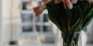 Beitragsbild des Blogbeitrags Achtsamer leben: 5 Tipps für mehr Achtsamkeit im Alltag