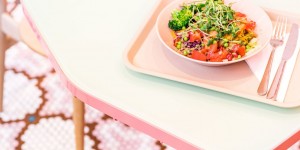 Beitragsbild des Blogbeitrags Job Report: Cecilia & Susanna, Veganista / The LALA