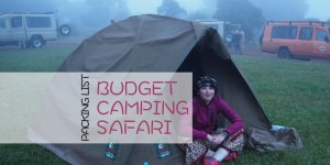 Beitragsbild des Blogbeitrags Packing list for your budget camping safari in Tanzania 