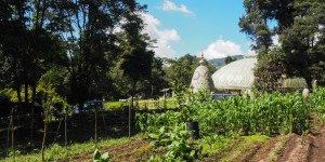 Beitragsbild des Blogbeitrags Varsana Eco Yoga Village near Bogotá – my first weekend in Colombia 