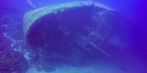 Beitragsbild des Blogbeitrags Hilma Hooker Wreck – a creepy dive spot on Bonaire 